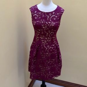 Vince Camuto size 6 lace dress